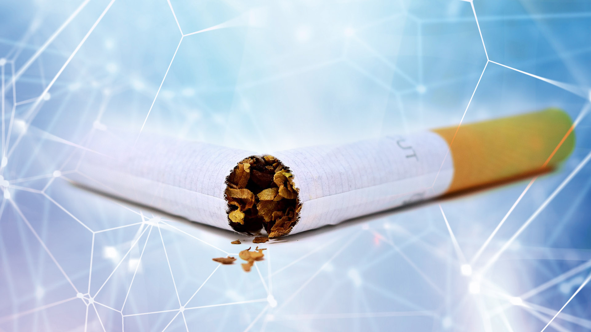 Innviertler Rauchfrei-Tag – Gesundes Ried